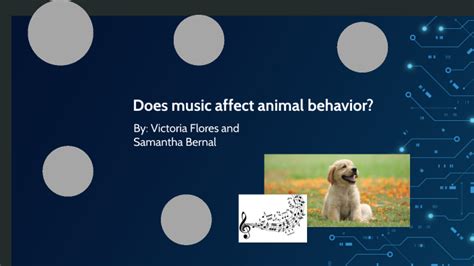 Does Music Affect Animal Behavior: A Symphony of Paws and Hooves